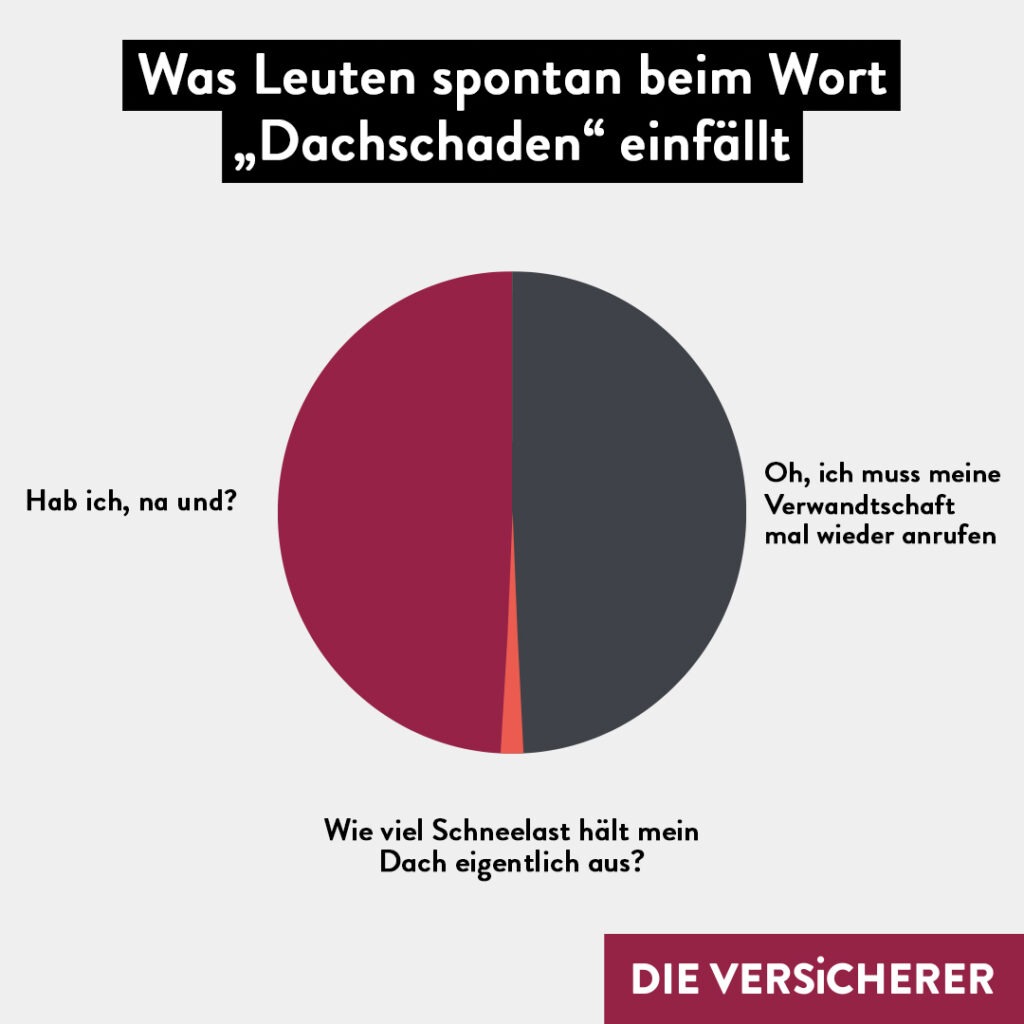 Dachschaden ganz spontan!
